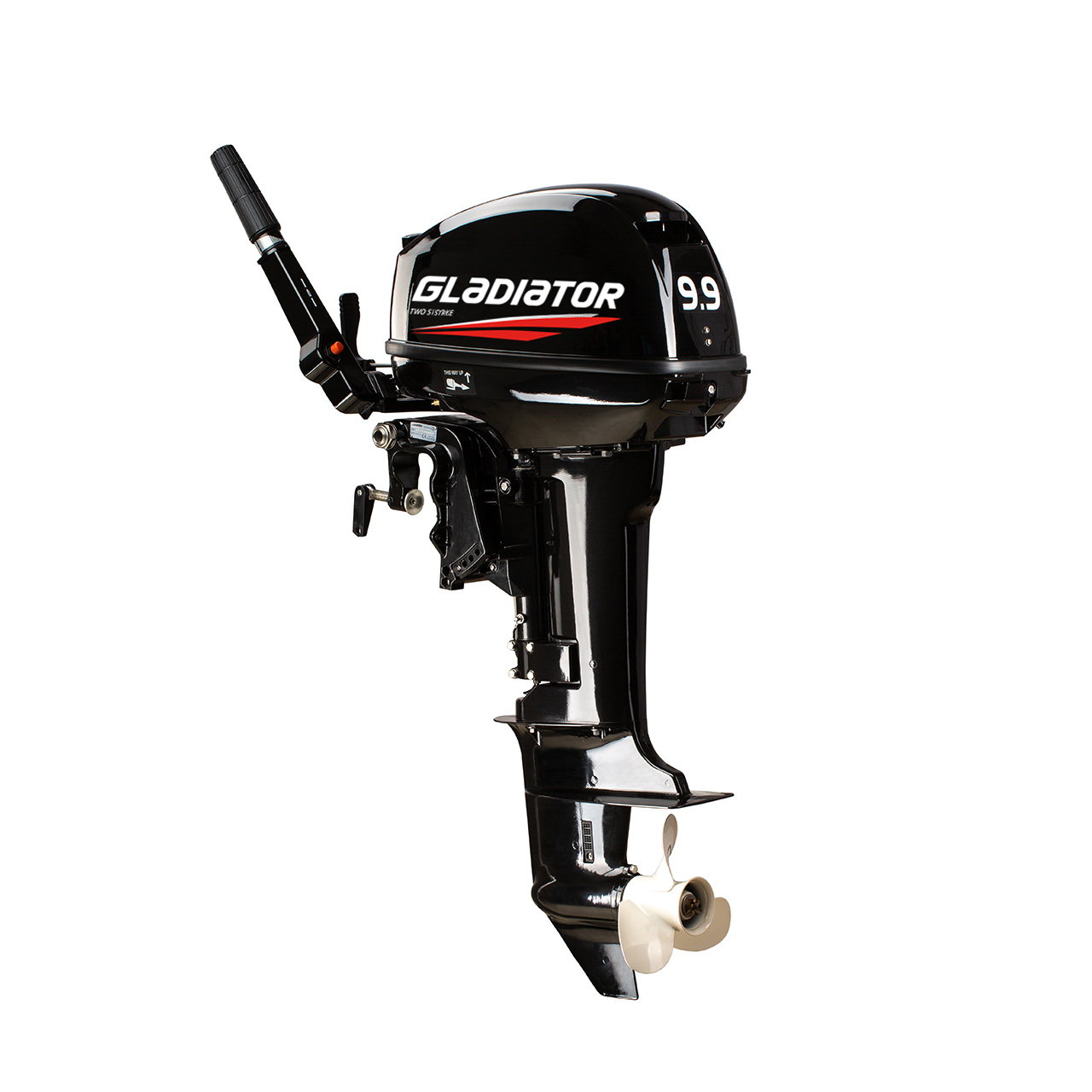 ЛОДОЧНЫЙ МОТОР GLADIATOR G9.9FHS в Туапсе