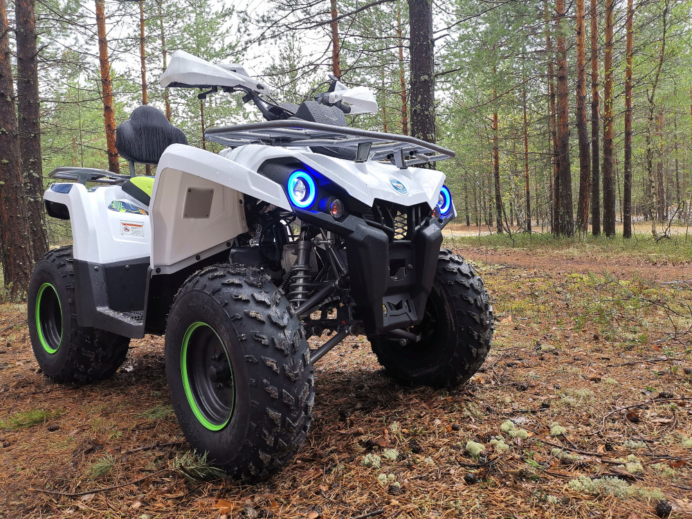 Квадроцикл PROMAX RENEGADE 280 (2025) в Туапсе