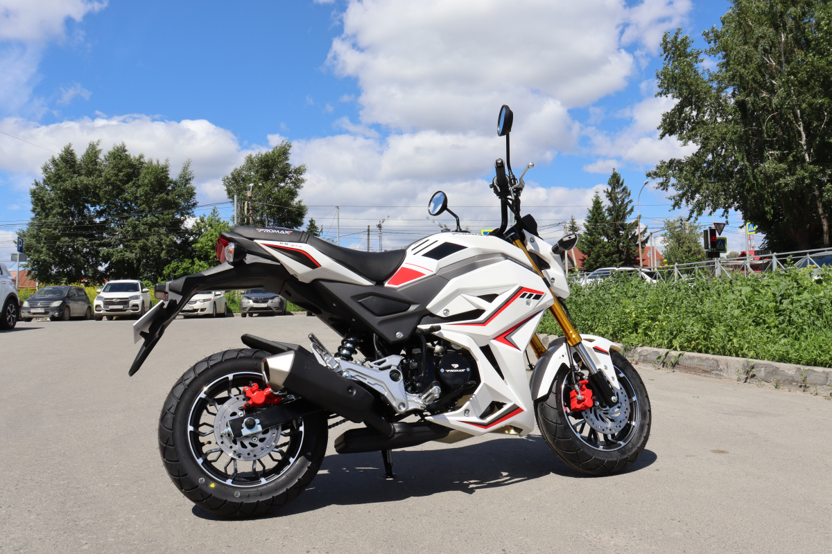 Мотоцикл PROMAX STRYKER 200(49) 2.0 в Туапсе
