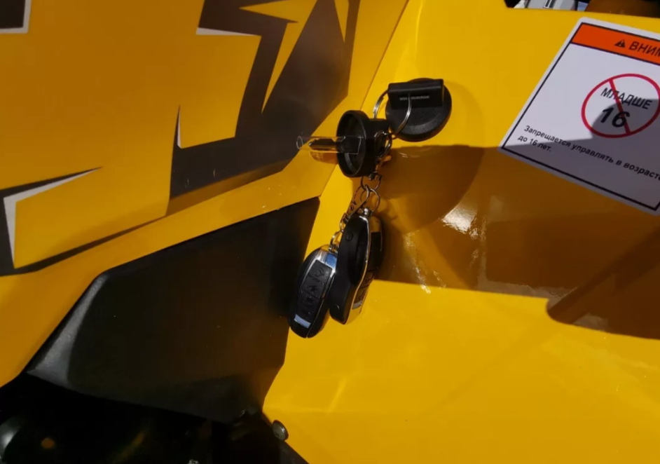 Квадроцикл MOTOLAND (МОТОЛЕНД) VOX200 WILD TRACK X PRO (баланс. вал) в Туапсе