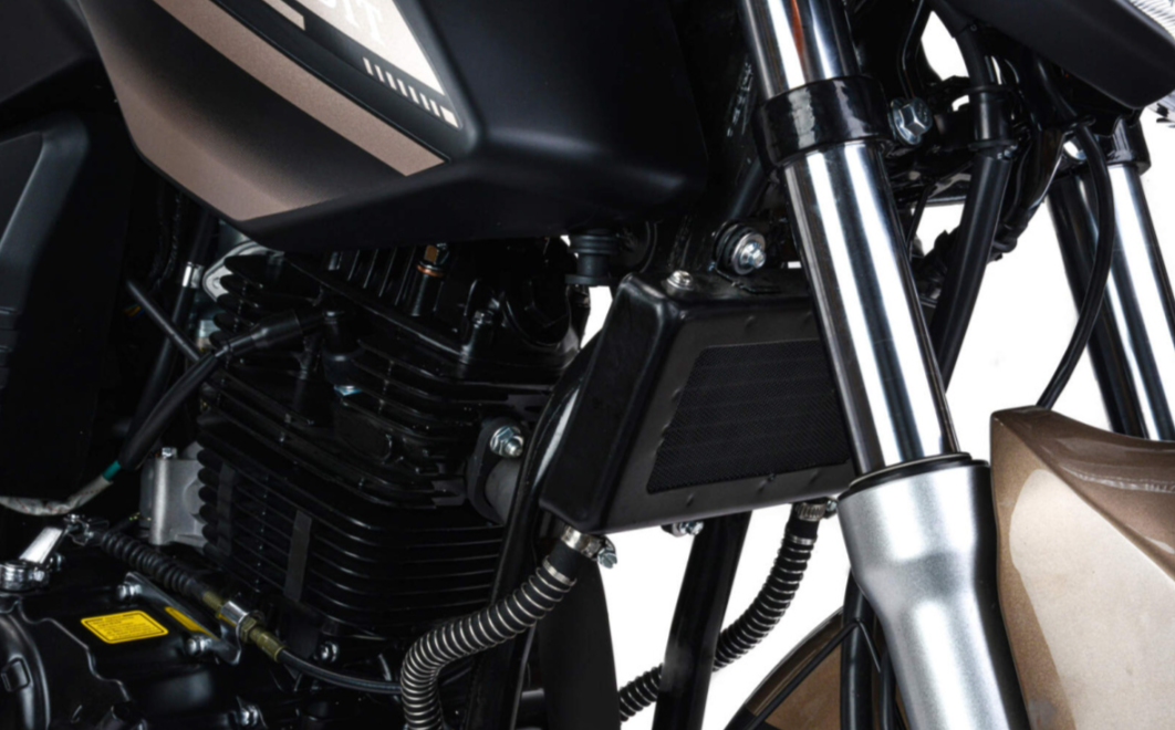 Мотоцикл MOTOLAND (МОТОЛЕНД) 300 BANDIT в Туапсе