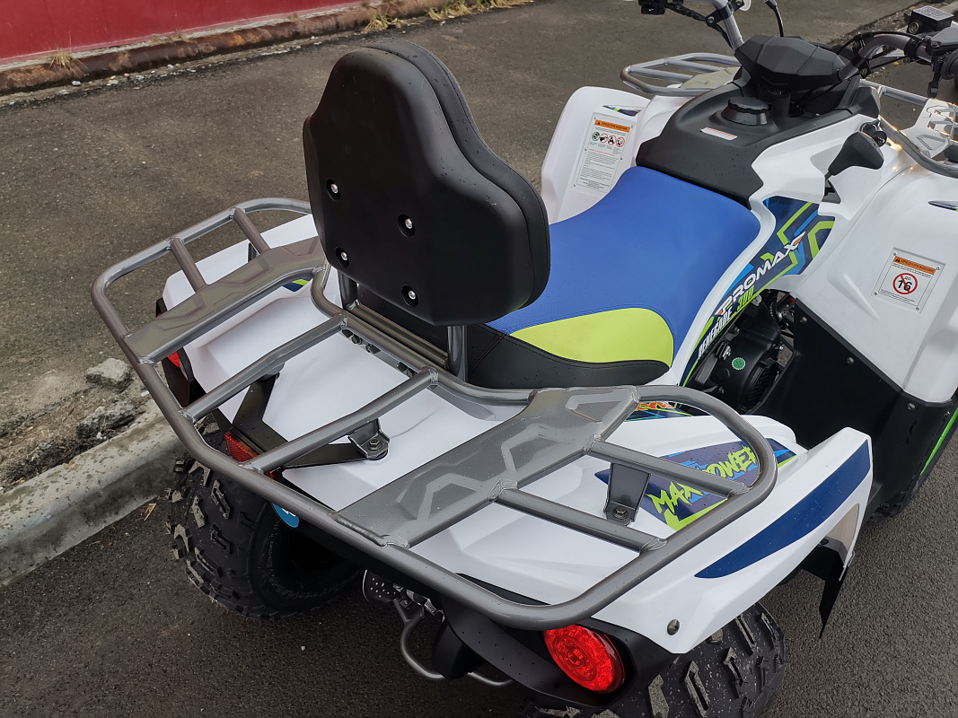 Квадроцикл PROMAX RENEGADE 280 LUX (2025) в Туапсе
