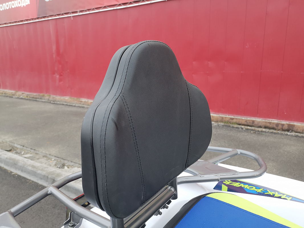 Квадроцикл PROMAX RENEGADE 280 LUX (2025) в Туапсе