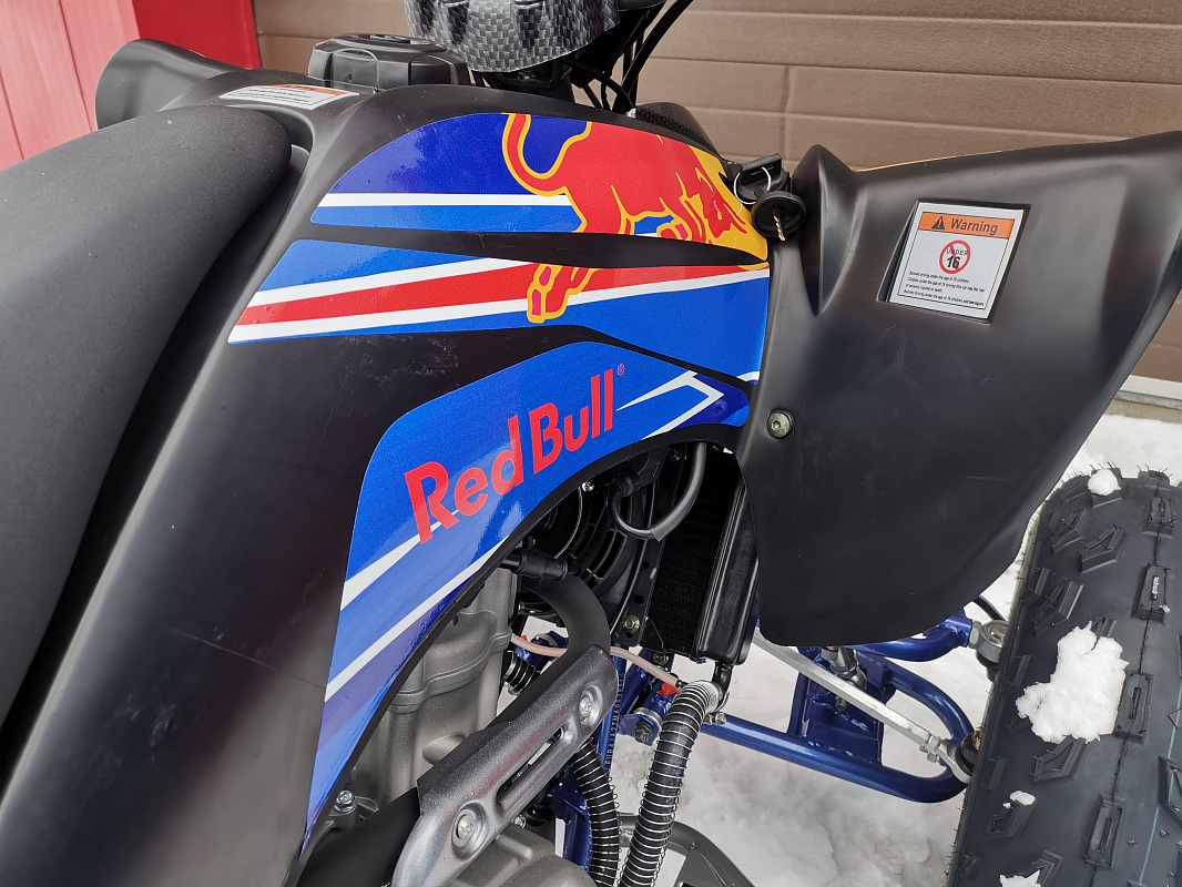 Квадроцикл PROMAX RAPTOR 300 NEW RedBull в Туапсе