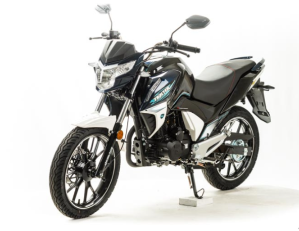 Мотоцикл MOTOLAND (МОТОЛЕНД) FIGHTER 250 в Туапсе