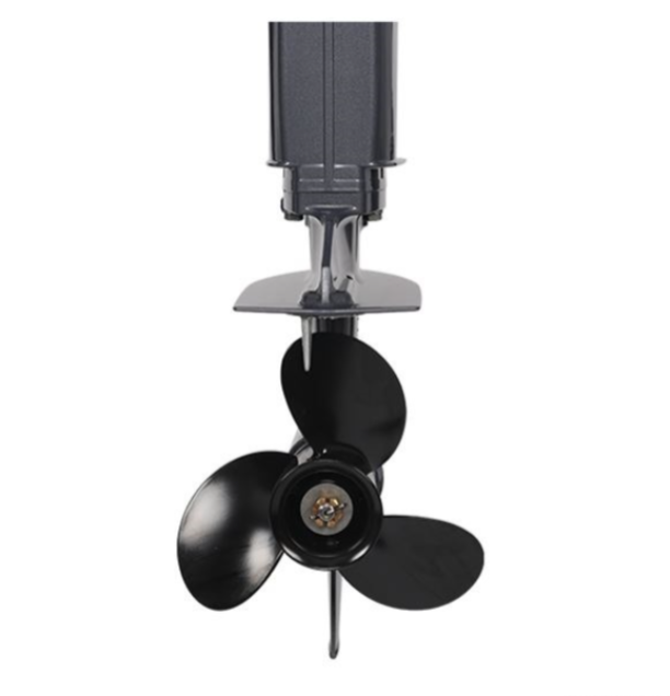 Лодочный мотор ALLFA CG Т40FW S в Туапсе