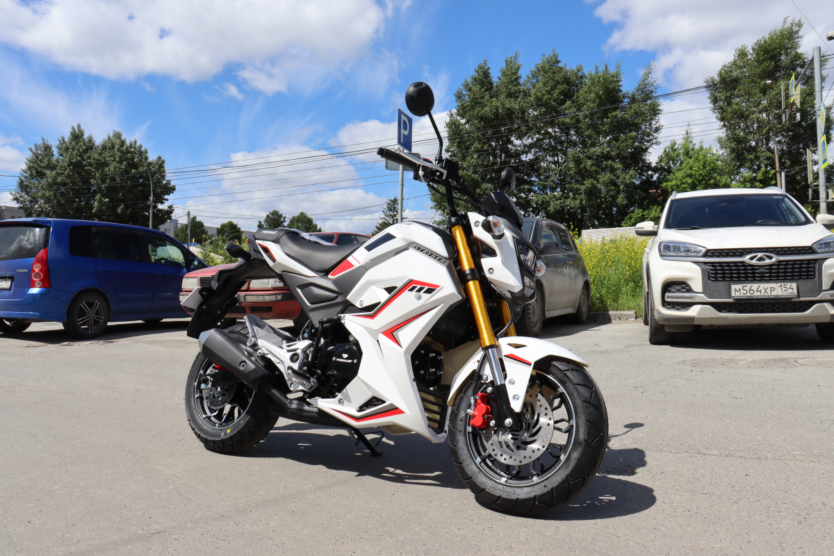 Мотоцикл PROMAX STRYKER 200(49) 2.0 в Туапсе