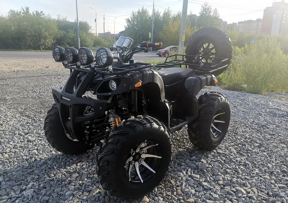 Квадроцикл PROMAX LEO 300 Max (кардан) в Туапсе
