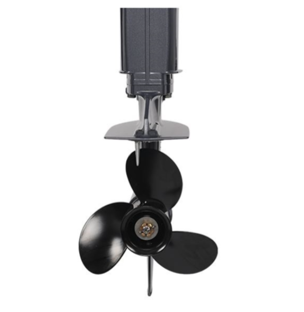 Лодочный мотор ALLFA CG Т40FWT S в Туапсе