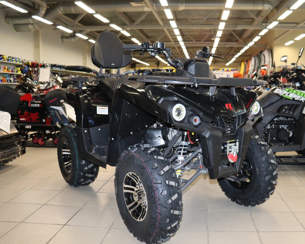 Квадроцикл PROMAX RENEGADE 300 LONG WINCH PRO (2025) в Туапсе