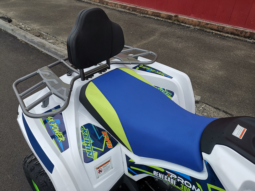 Квадроцикл PROMAX RENEGADE 280 LUX (2025) в Туапсе