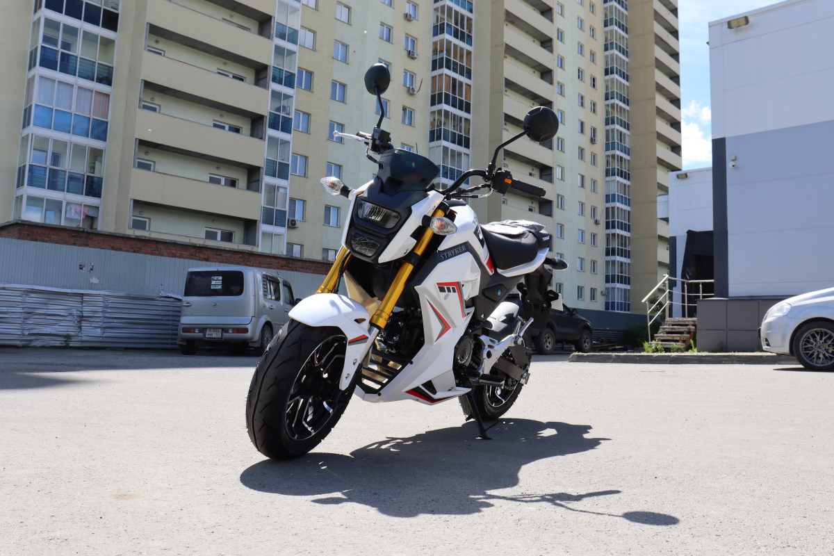 Мотоцикл PROMAX STRYKER 200(49) 2.0 в Туапсе