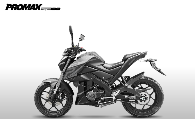 Мотоцикл PROMAX MT300 в Туапсе