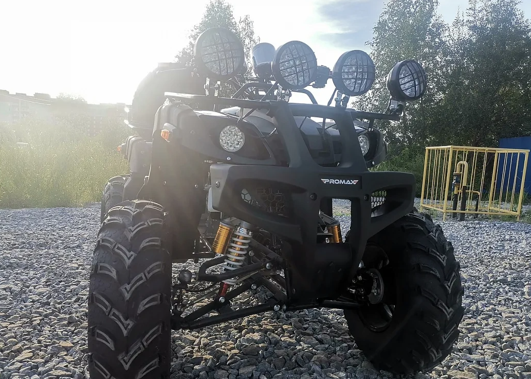 Квадроцикл PROMAX LEO 300 Max (кардан) в Туапсе