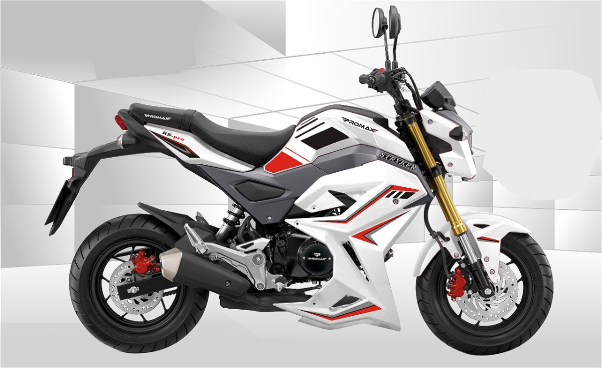 Мотоцикл PROMAX STRYKER 200(49) 2.0 в Туапсе