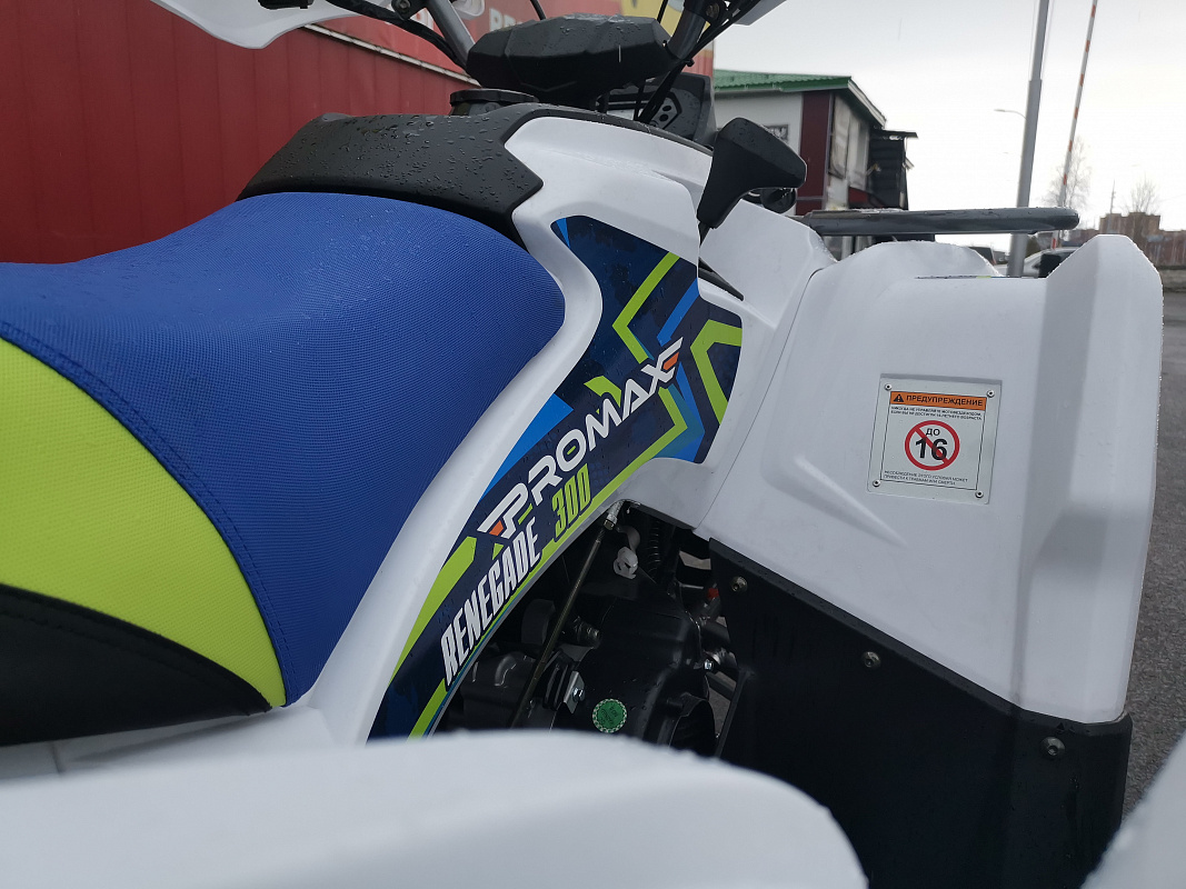 Квадроцикл PROMAX RENEGADE 280 LUX (2025) в Туапсе
