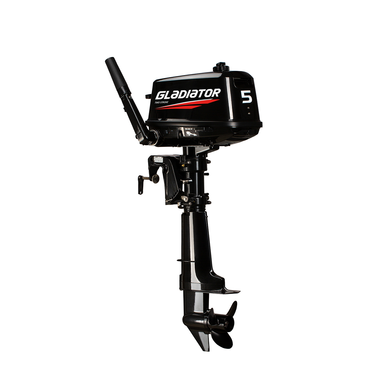 ЛОДОЧНЫЙ МОТОР GLADIATOR G5FHS в Туапсе