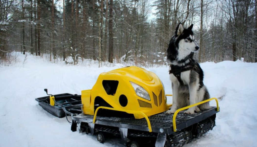 Мотобуксировщик LEBEDEV MOTORS ВОЛКОДАВ POWER V13 в Туапсе