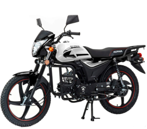 Мопед MOTOLAND (МОТОЛЕНД) Альфа RS 11 (LM48-B) в Туапсе