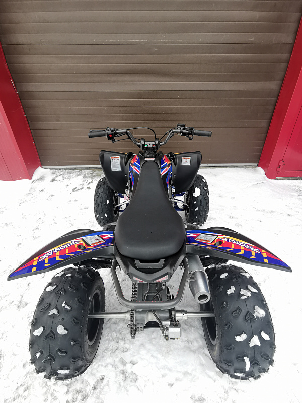 Квадроцикл PROMAX RAPTOR 300 NEW RedBull в Туапсе