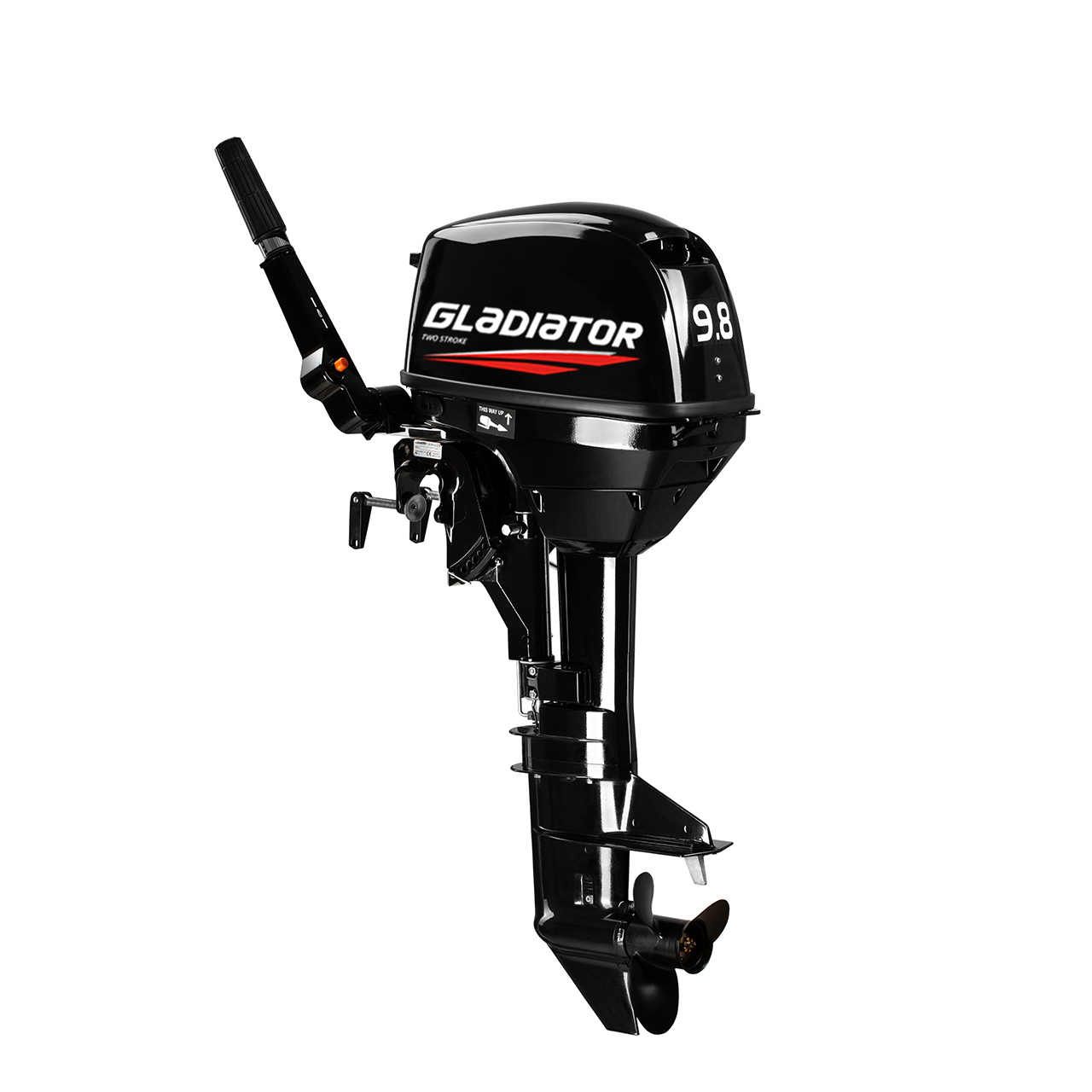 ЛОДОЧНЫЙ МОТОР GLADIATOR G9.8FHS в Туапсе