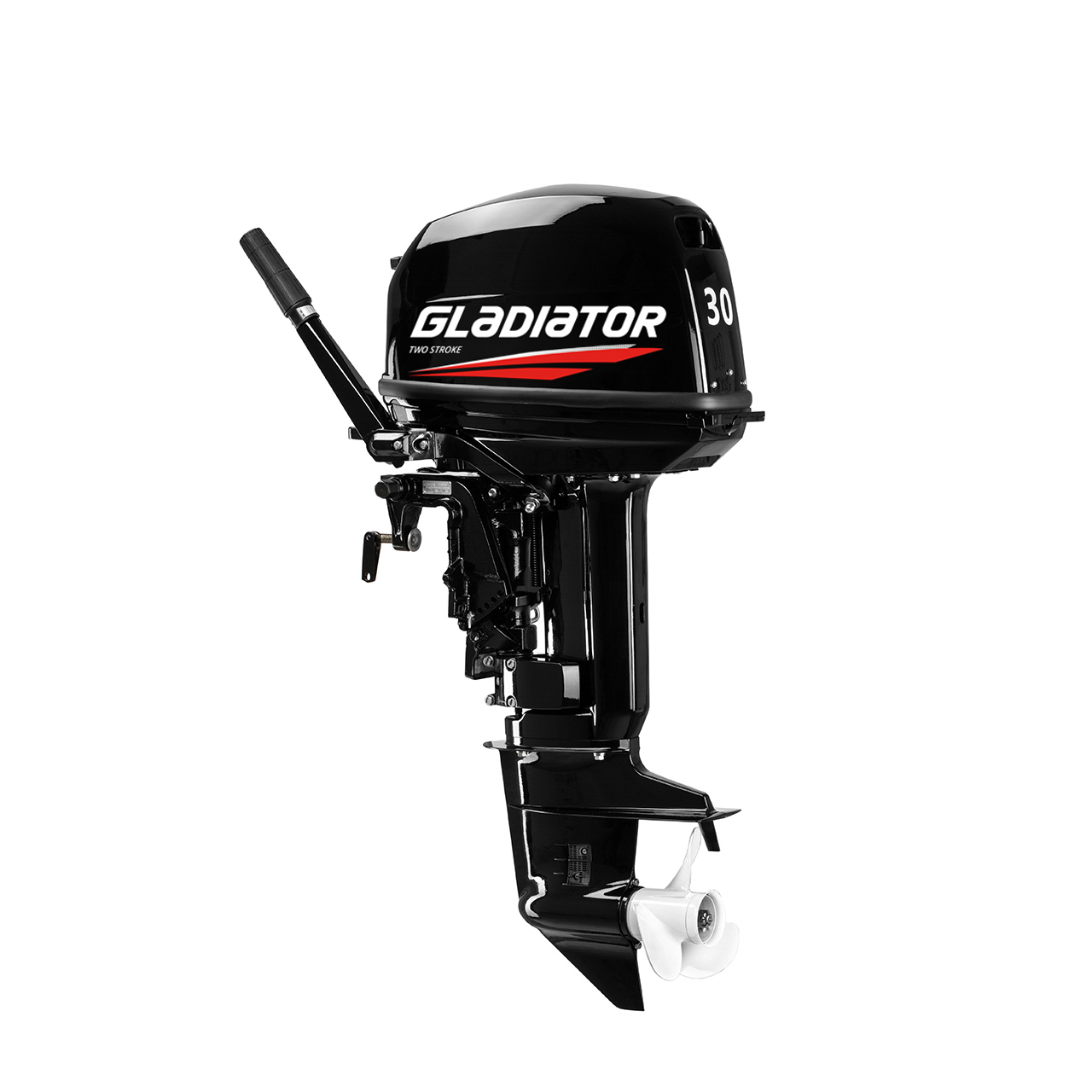 ЛОДОЧНЫЙ МОТОР GLADIATOR G30FHS в Туапсе