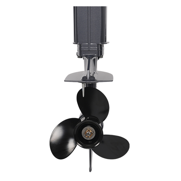 Лодочный мотор ALLFA CG T9.9(20) MAX Limit в Туапсе