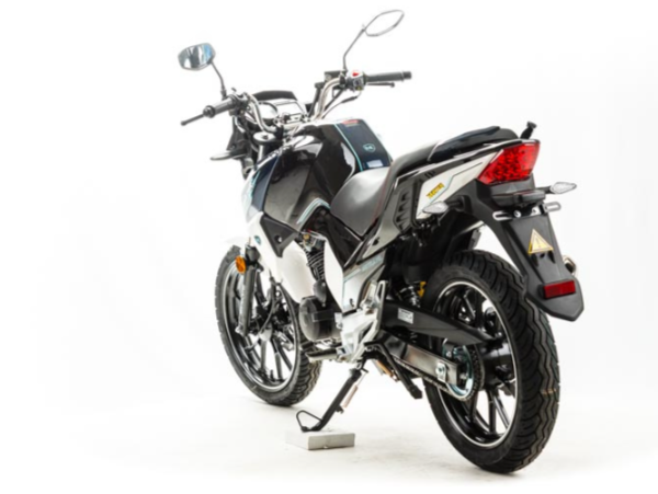 Мотоцикл MOTOLAND (МОТОЛЕНД) FIGHTER 250 в Туапсе