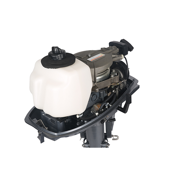 ЛОДОЧНЫЙ МОТОР ALLFA CG T5 в Туапсе