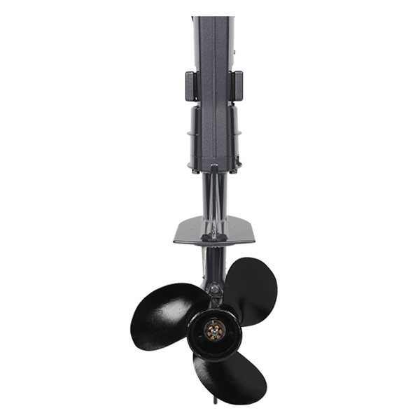 ЛОДОЧНЫЙ МОТОР ALLFA CG T5 в Туапсе