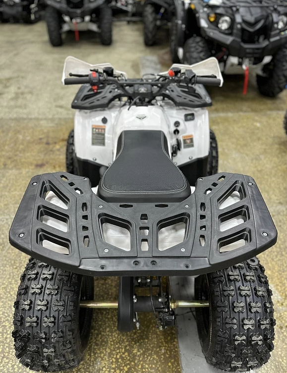 Квадроцикл PROMAX WILD 2.0 190 в Туапсе