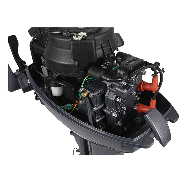 ЛОДОЧНЫЙ МОТОР ALLFA CG Т9,9 в Туапсе