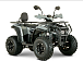 Квадроцикл YACOTA DRAGON LUX LD 150 PRO-SPORT в Туапсе