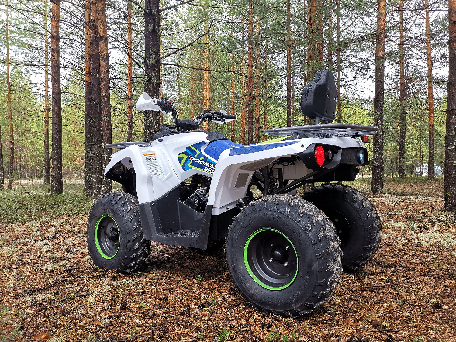 Квадроцикл PROMAX RENEGADE 280 (2025) в Туапсе