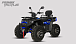 Квадроцикл PROMAX TAURUS 300 MAX-PRO LONG в Туапсе