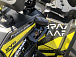 Квадроцикл PROMAX TAURUS 300 MAX-PRO в Туапсе