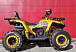 Квадроцикл PROMAX STORM 280 LUX в Туапсе