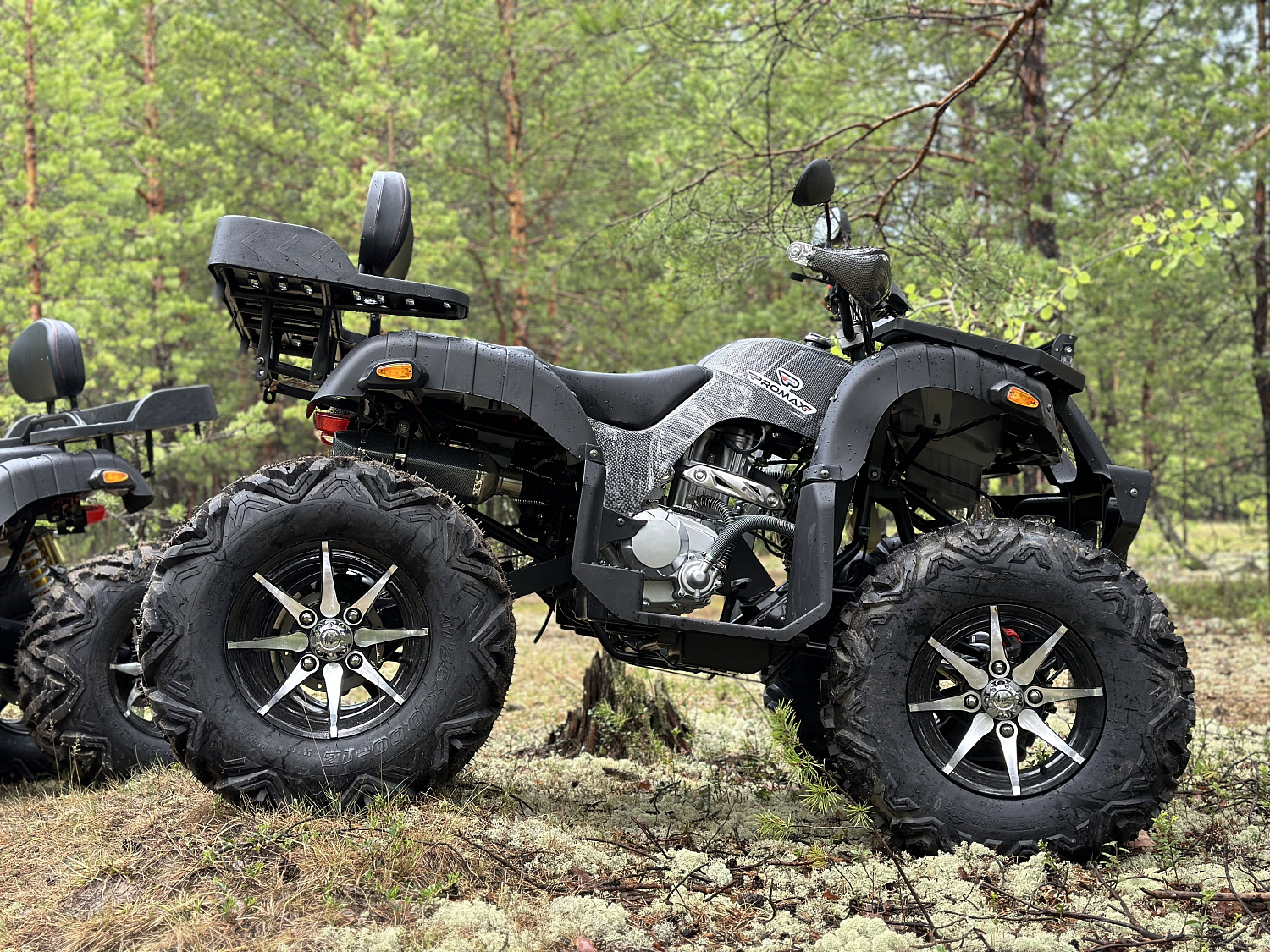 Квадроцикл PROMAX 320 DOMINATOR PRO (2025) в Туапсе