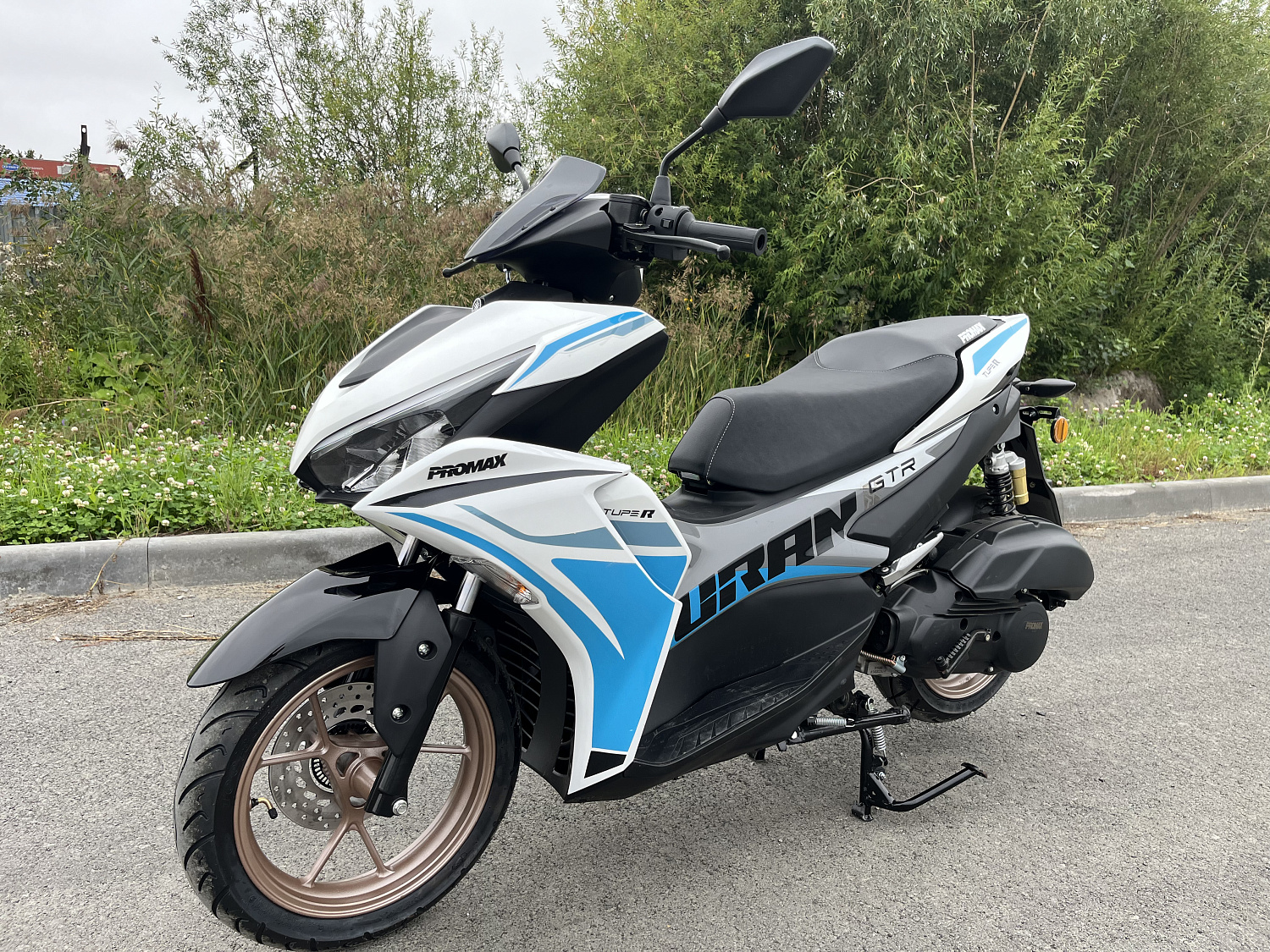 Скутер PROMAX TURAN 250 (49) в Туапсе