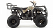 Квадроцикл MOTOLAND (МОТОЛЕНД) 200 ALL ROAD в Туапсе