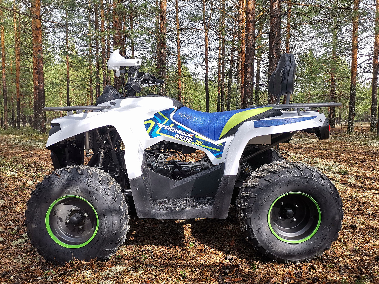 Квадроцикл PROMAX RENEGADE 280 (2025) в Туапсе