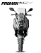 МаксиСкутер PROMAX-HONDA ADV 250(49) EFI (Inspired by HONDA) в Туапсе