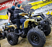 Квадроцикл PROMAX ATV 250 (2025) в Туапсе