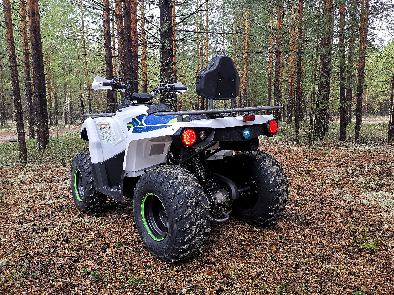 Квадроцикл PROMAX RENEGADE 280 (2025) в Туапсе