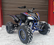Квадроцикл PROMAX RAPTOR 300 NEW RedBull в Туапсе