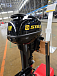 Лодочный мотор STELS 9.9HP в Туапсе
