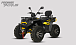 Квадроцикл PROMAX TAURUS 300 MAX-PRO LONG в Туапсе
