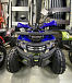 Квадроцикл PROMAX WILD 2.0 190 PRO (2025) в Туапсе